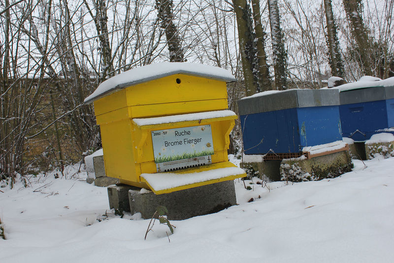 La ruche Brome Fierger